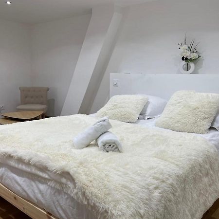 Le Duplex - Gare / Tram / Netflix Leilighet Fontaine  Eksteriør bilde