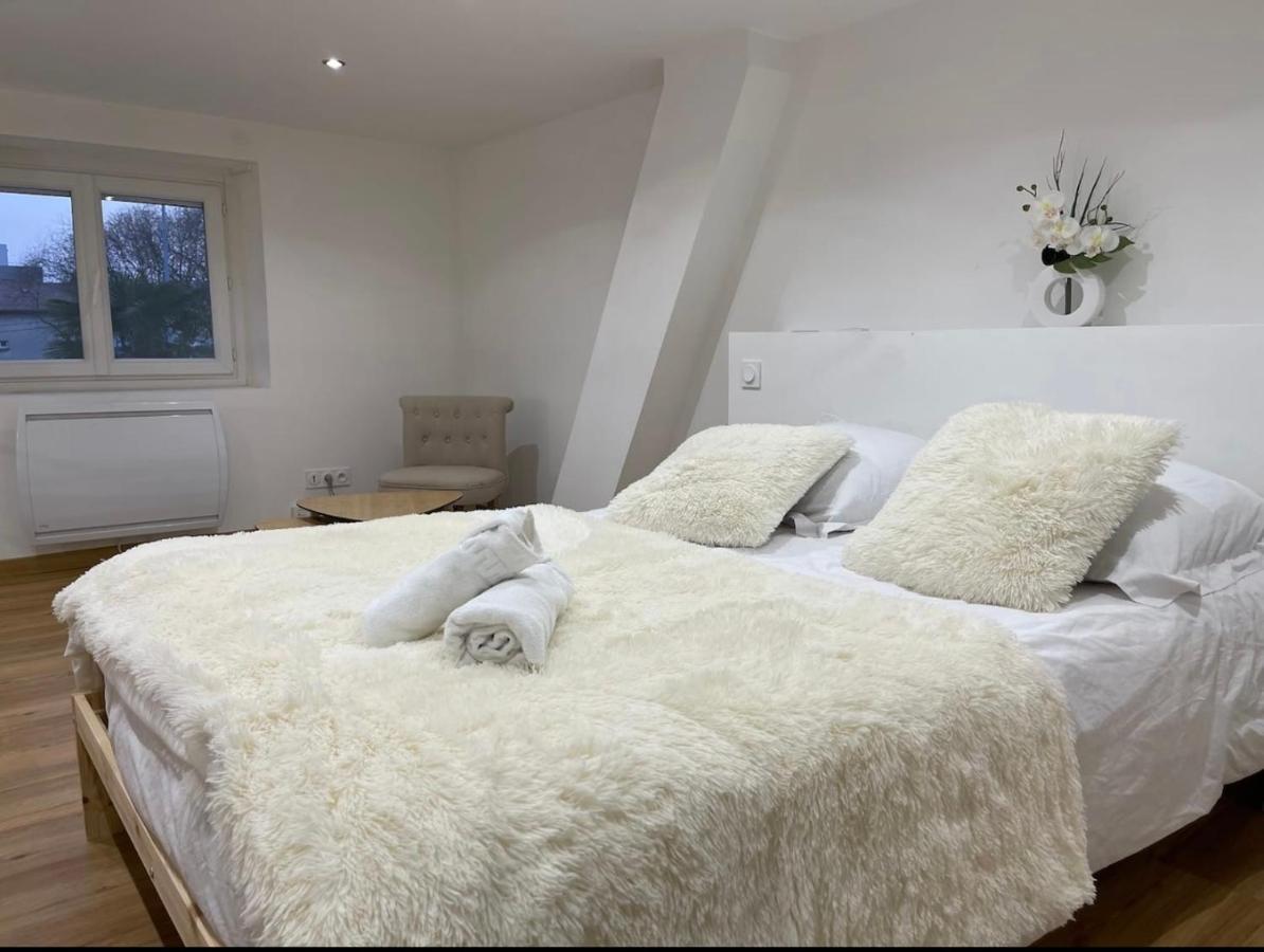 Le Duplex - Gare / Tram / Netflix Leilighet Fontaine  Eksteriør bilde